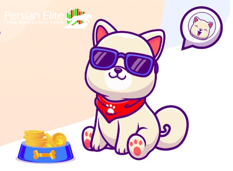 نماد سگ کیشو اینو از موفقیت میم سکه Dogecoin الهام گرفته شده است. 
