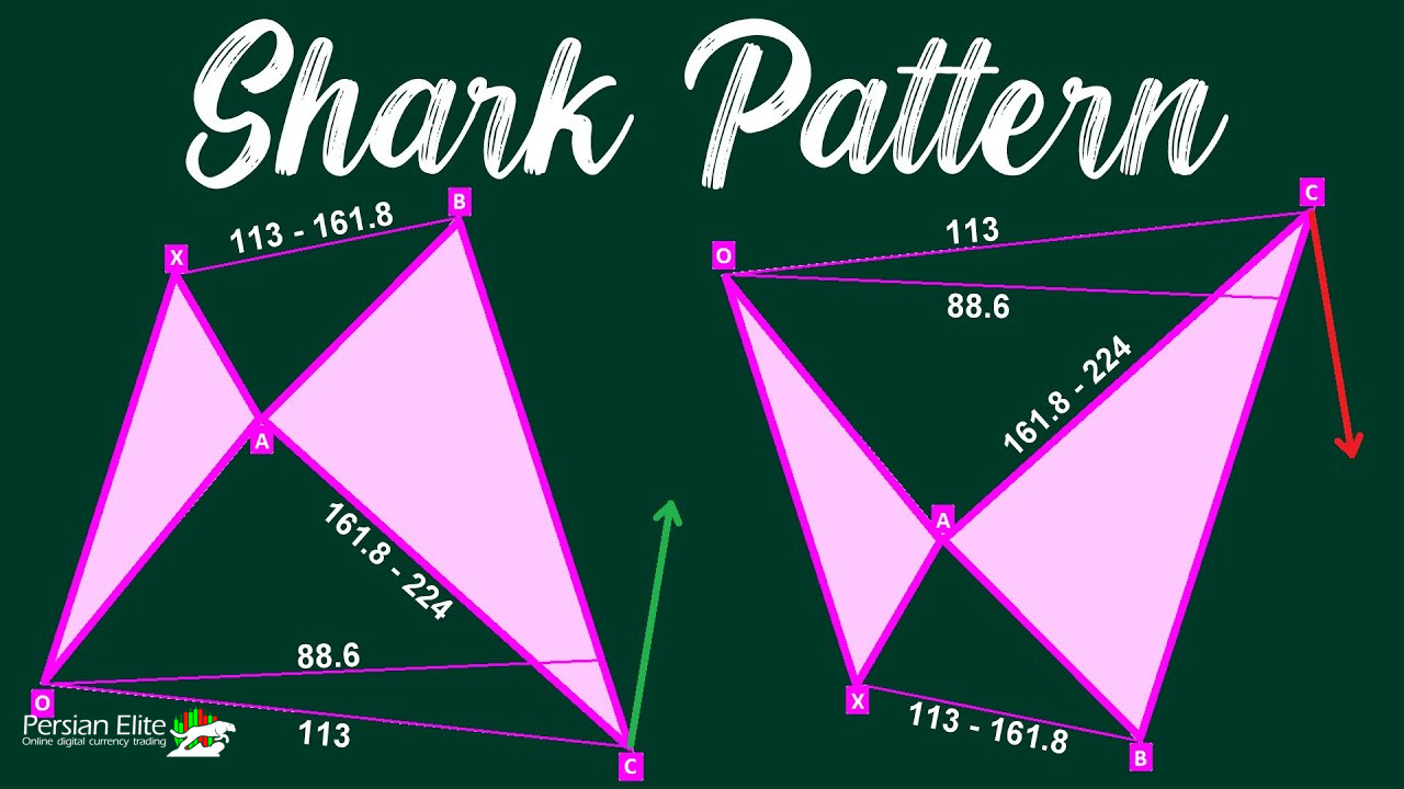 الگوی کوسه (Shark Pattern) در تحلیل تکنیکال | پرشین الیت