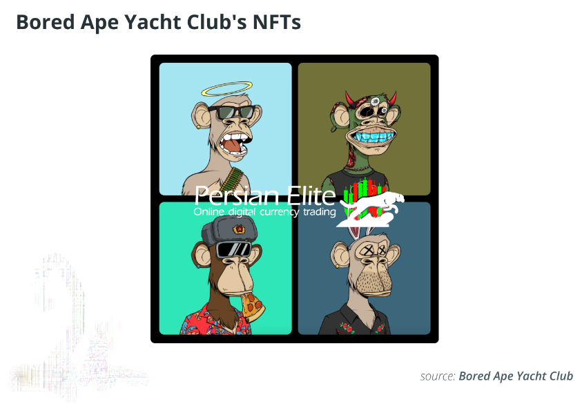 مجموعه محبوب NFTهای کلوپ قایقرانی میمون‌های کسل